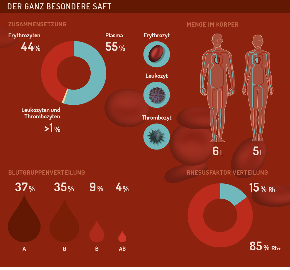 Infographic Blood groups